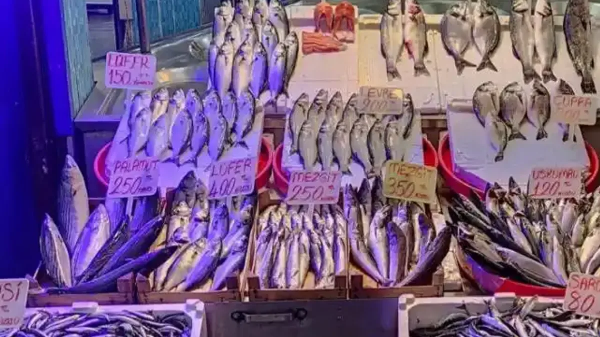 Balığa kota geliyor! Fiyatlar dengelenecek