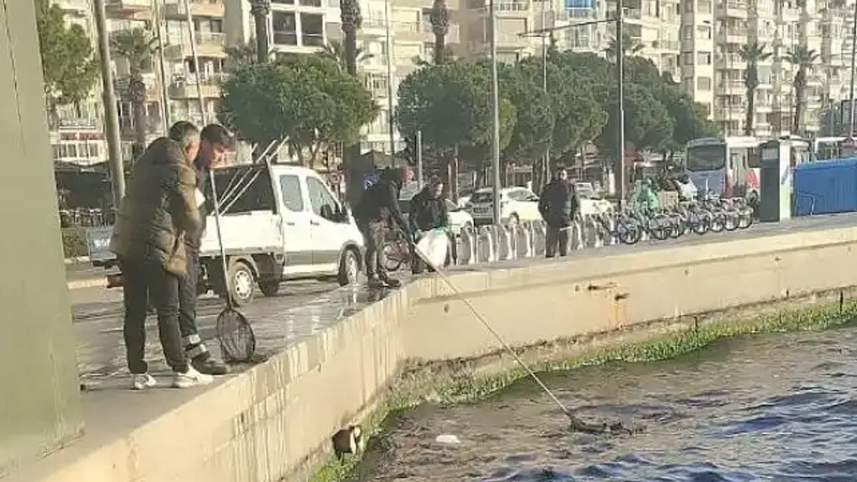 Başkan Tugay bakanlık yetkililerini göreve çağırdı "Bu ihanetin gereğini yapın"