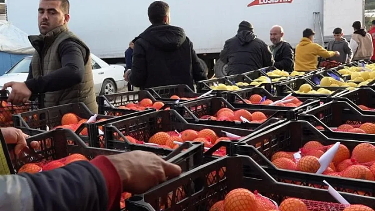 Mersin'den 24 ton narenciye desteği