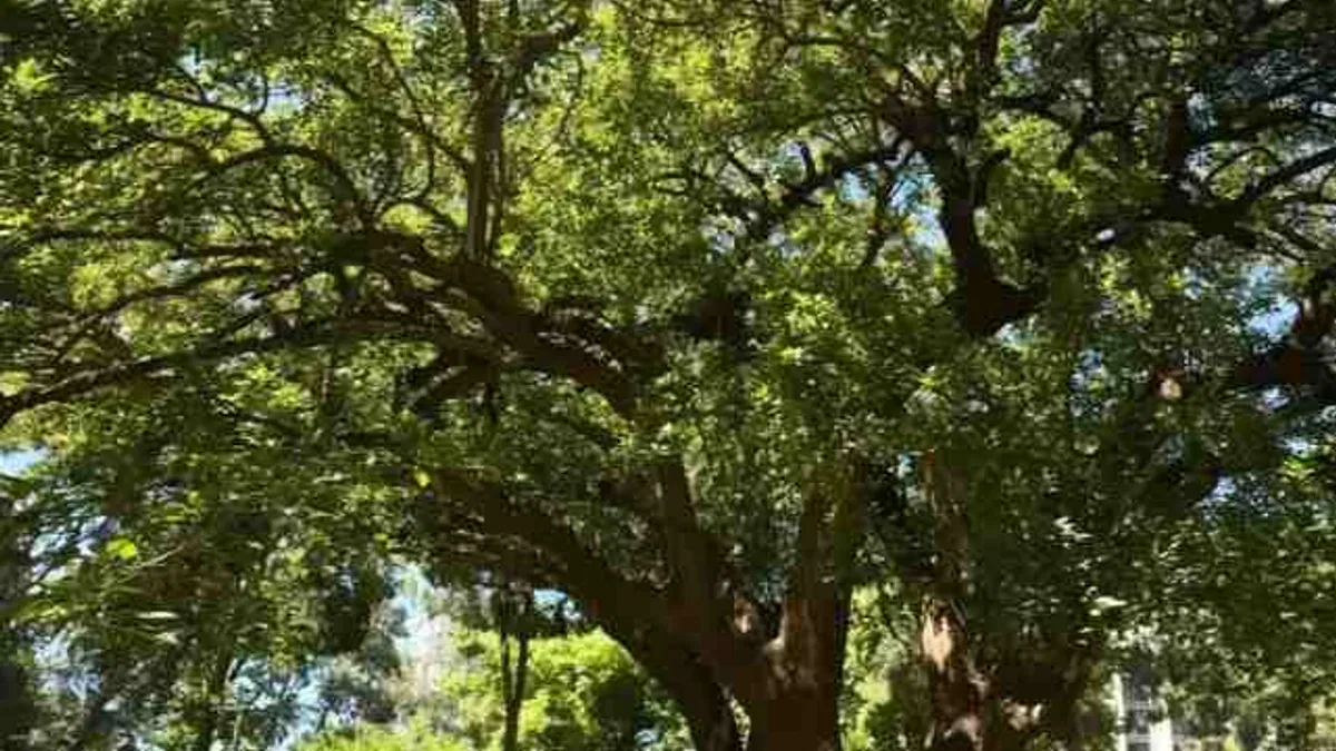 İzmir'de Kültürpark’ın köklerine yolculuk