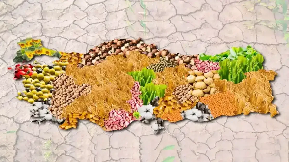 Türkiye’nin tarımsal örgütlenme haritası 2025 verileriyle güncellendi