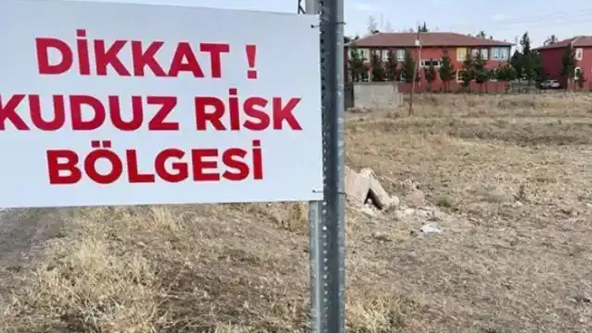 Niğde'de kuduz karantinası!