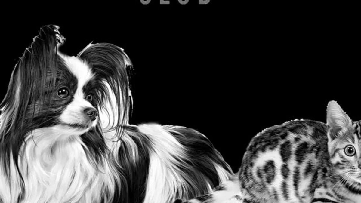 Kediler ve Köpekler İçin Sağlıklı Beslenme ve Ayrıcalıklar Tek Çatı Altında