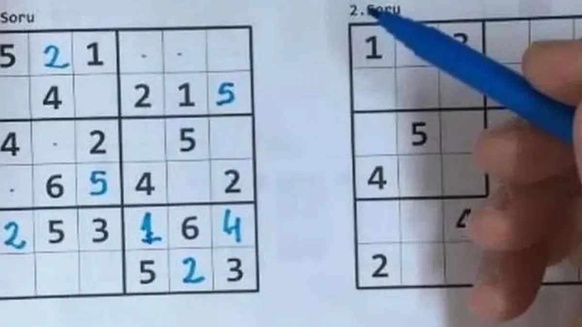 Unutkanlığa karşı bulmaca yerine sudoku çözün!