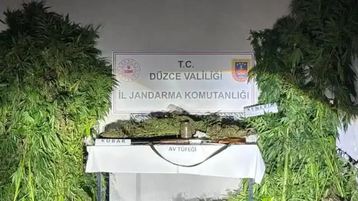 Düzce'de jandarma uyuşturucu operasyonu yaptı