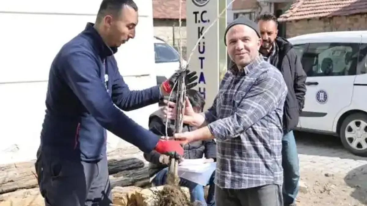 Kütahya’da yerel kiraz türleri toprakla buluşacak