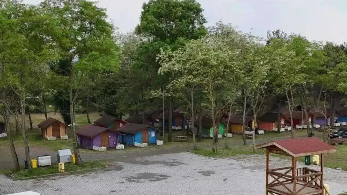 Ordu Büyükşehir’den Çınarsuyu’na büyük dokunuş