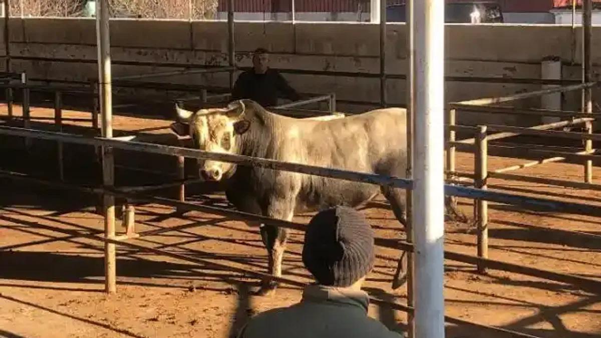 Hayvancılığı şaha kaldıracak tesis