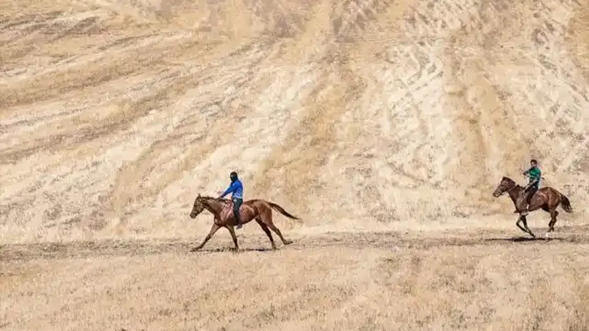 Kars'ta 'geleneksel at yarışı' düzenlendi
