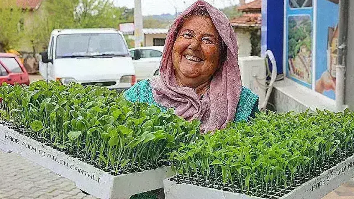 Buca'da Belediye-Kooperatif işbirliği, tarımı canlandırdı