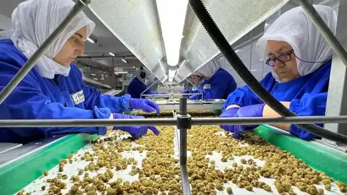 Türkiye organik ürün ihracatında 1 milyar dolar sınırını aştı