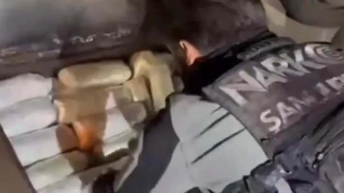 Şanlıurfa'da 20 kilogram skunk ele geçirildi