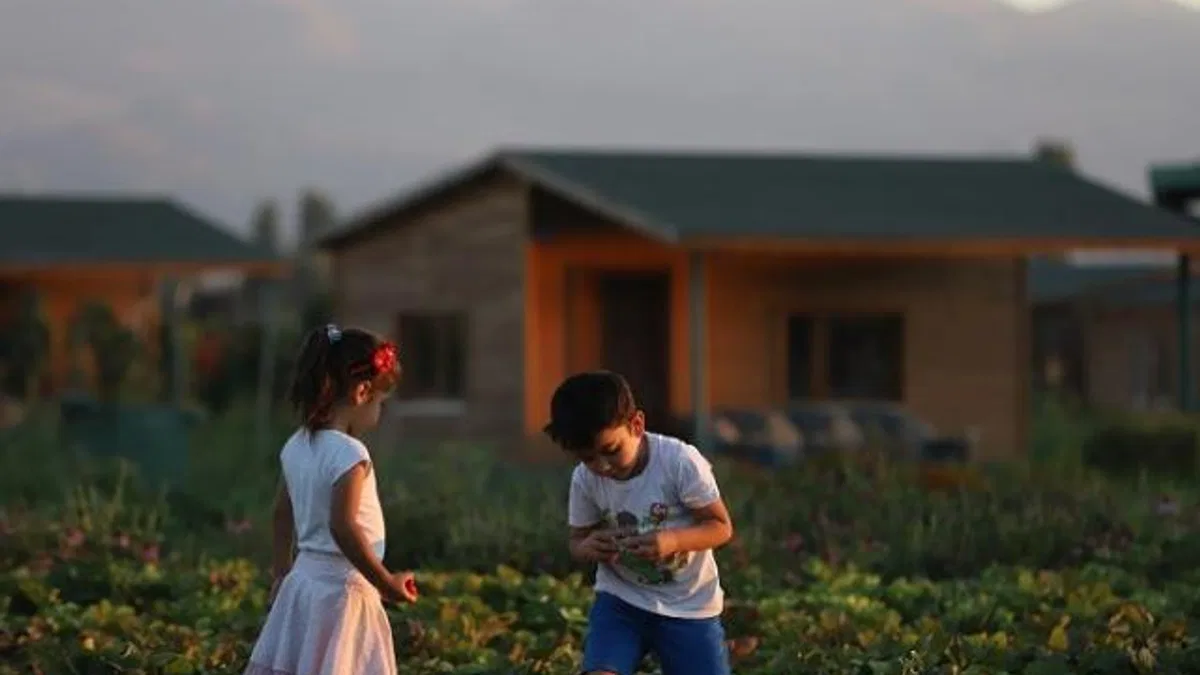 Büyükşehir’de 2 bin 543 adet “hobi bahçesi” başvuruları başladı
