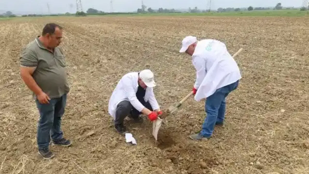 Kocaeli'de çiftçilere ücretsiz toprak analizi