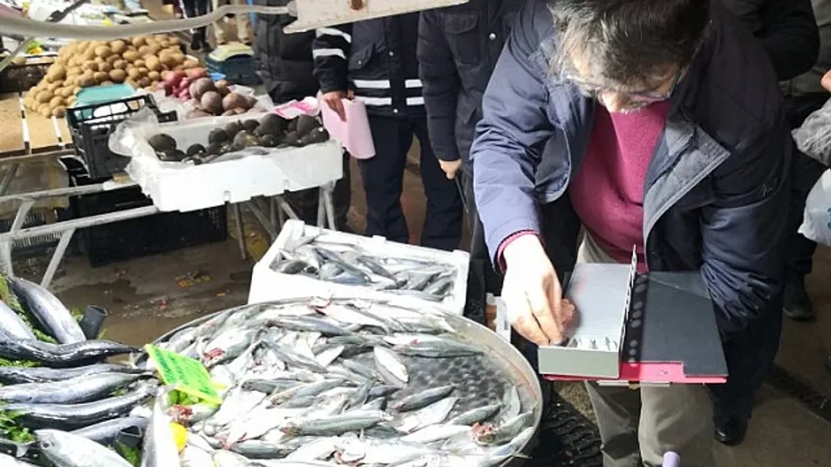 İzmit'te balık tezgahlarına denetim