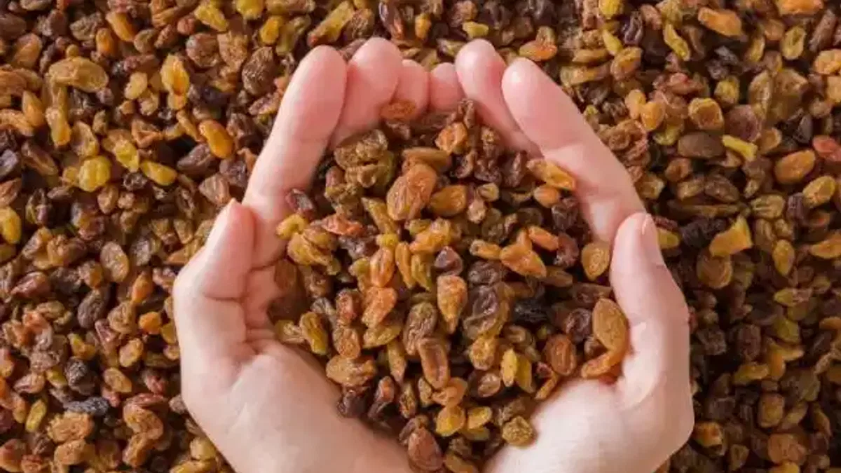 Türkiye kuru üzüm üretiminde açık ara dünya lideri