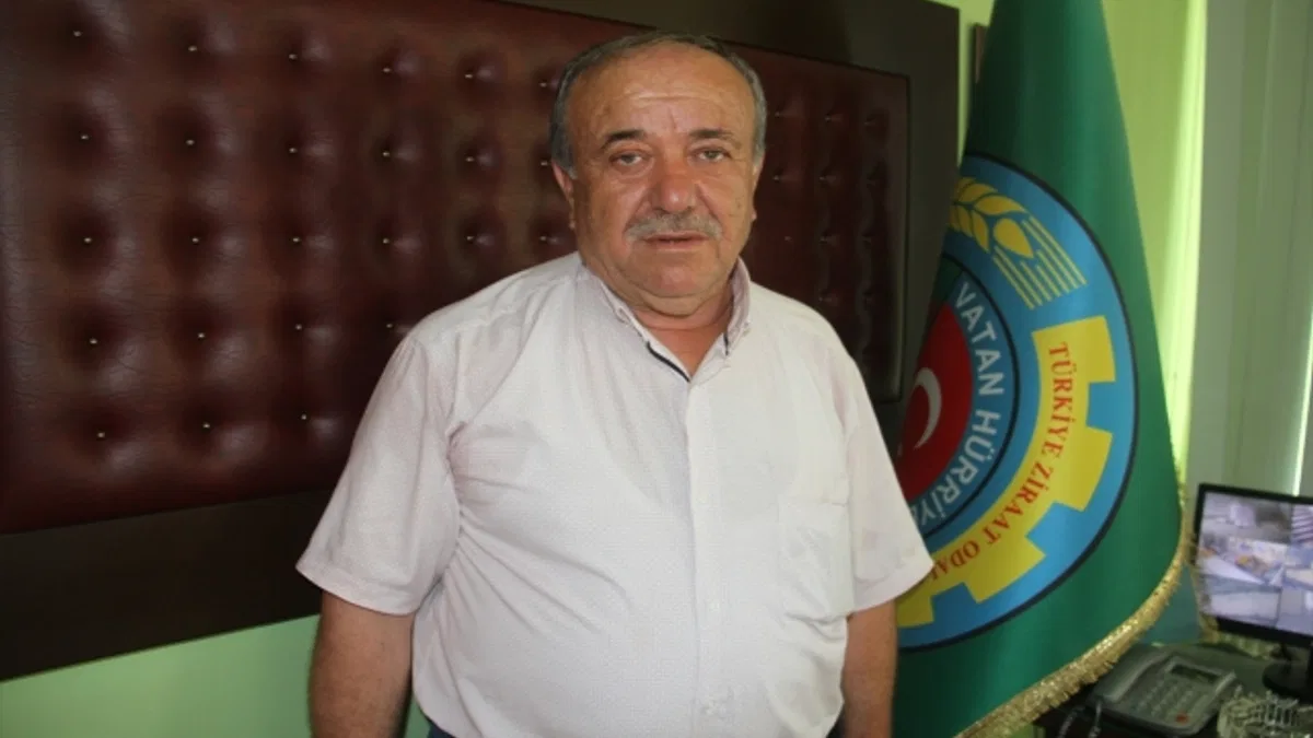 Beyşehir'de hasat öncesi çiftçi buğday rekoltesinden umutlu