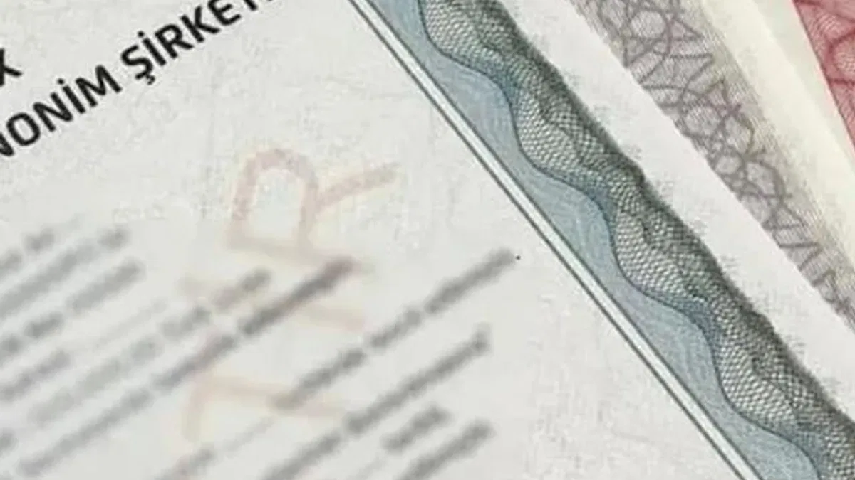 Yerli yatırımcı pay senedi varlıklarında artış