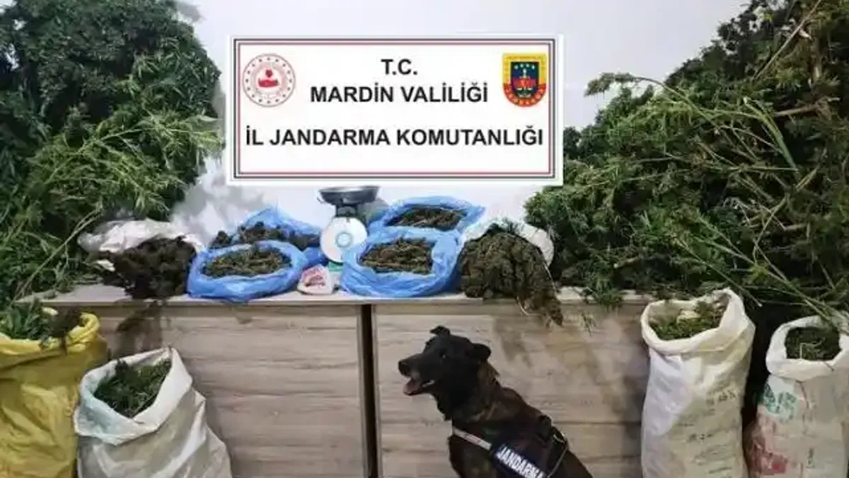 Manav değil uyuşturucu satıcısı