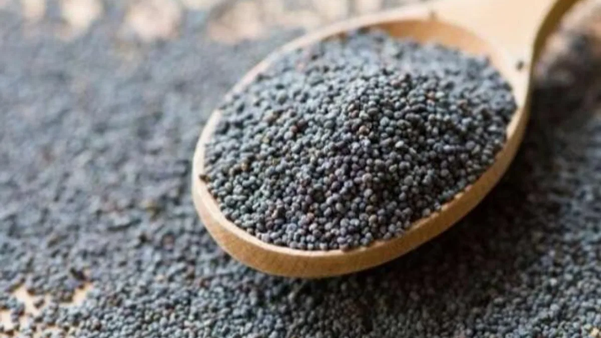 Hububat ve bakliyat ihracatı 4 ayda 4 milyar dolara ulaştı
