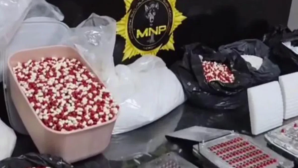 Mersin'de tonlarca sentetik ecza hammaddesi ele geçirildi