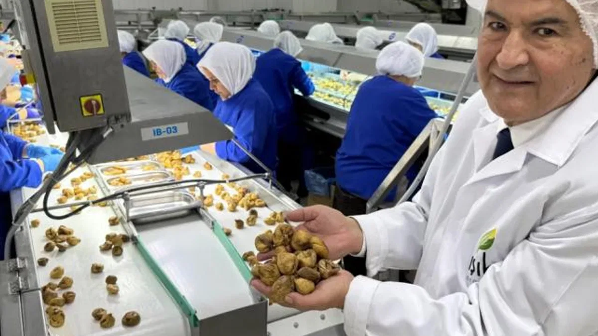 Organik Sektörü, Çin'le İşbirliklerini Artırmak İstiyor