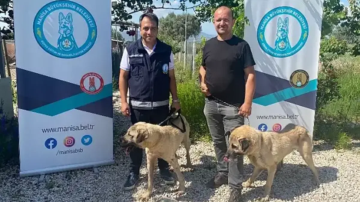 Eğitimli köpekler çiftçiye can yoldaşı olacak