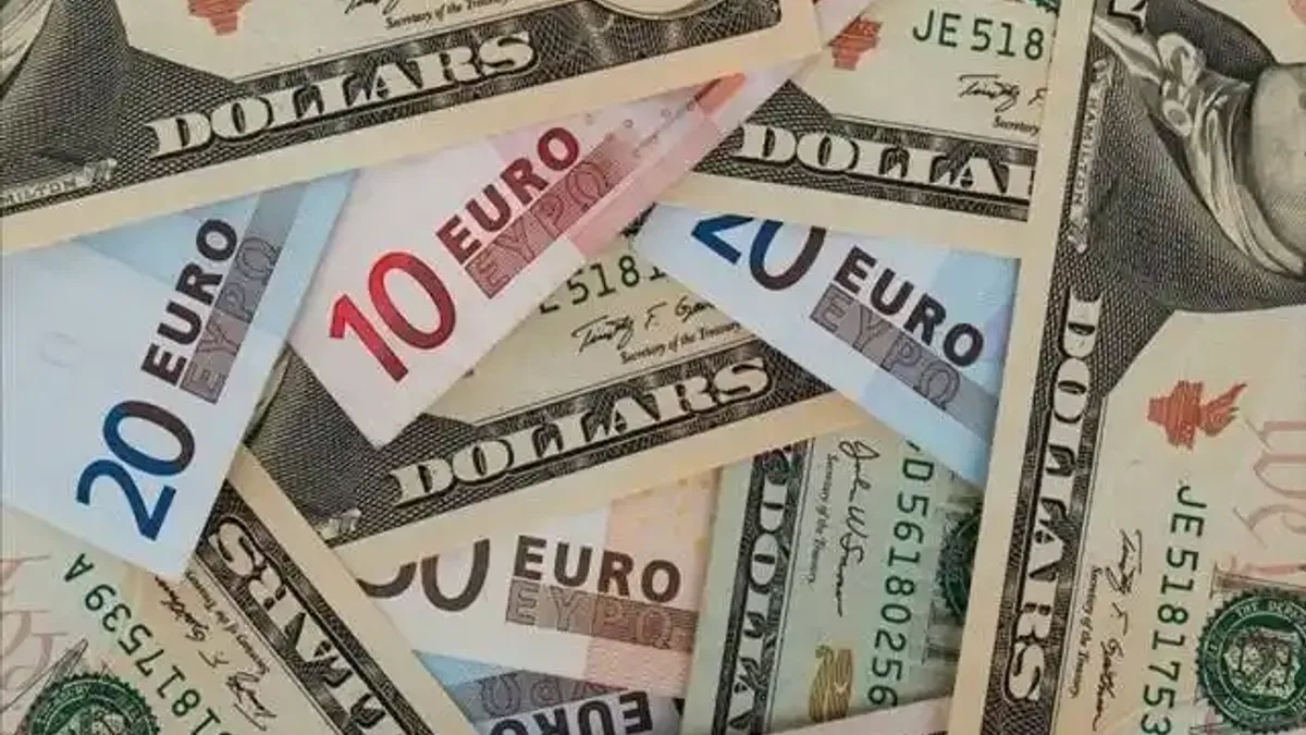 Avro/dolar paritesi 1 seviyesini test etti