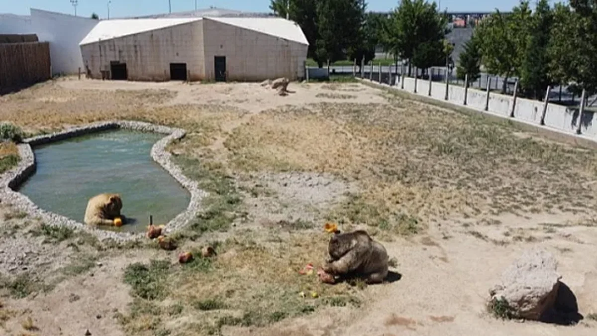 Anadolu Harikalar Diyarı'nda serinleten uygulama