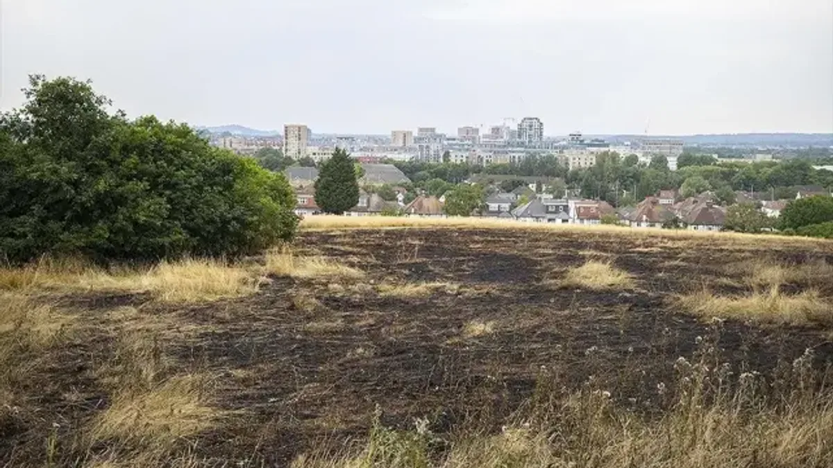 Londra’daki yangınların kontrol altına alınması için mücadele sürüyor