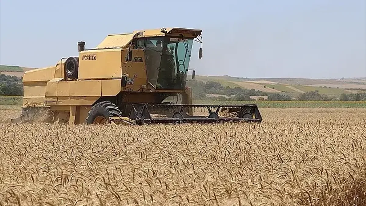 Edirne'de hasadına başlanan buğdayın rekoltesi yüz güldürüyor