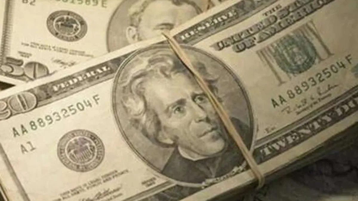 Özel sektörün yurt dışı kredisi 175,4 milyar dolar oldu