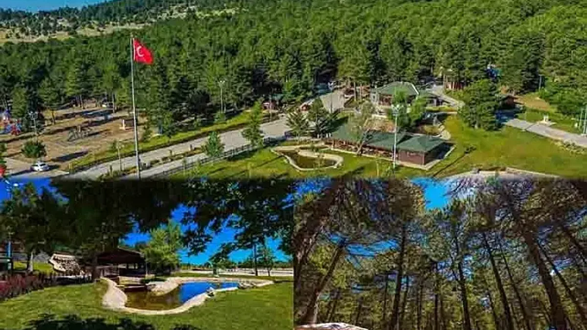 Sıcaktan bunalan Kefe'ye koşuyor