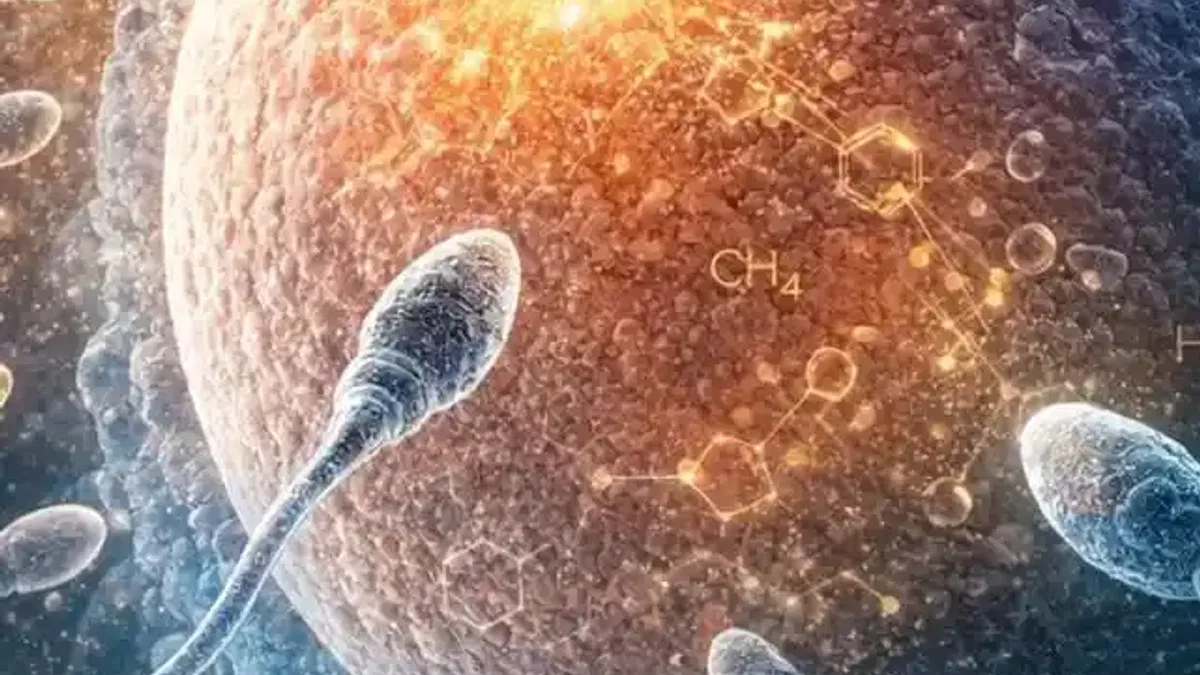 Bilim insanlarından döllenmeye dair yeni açıklama