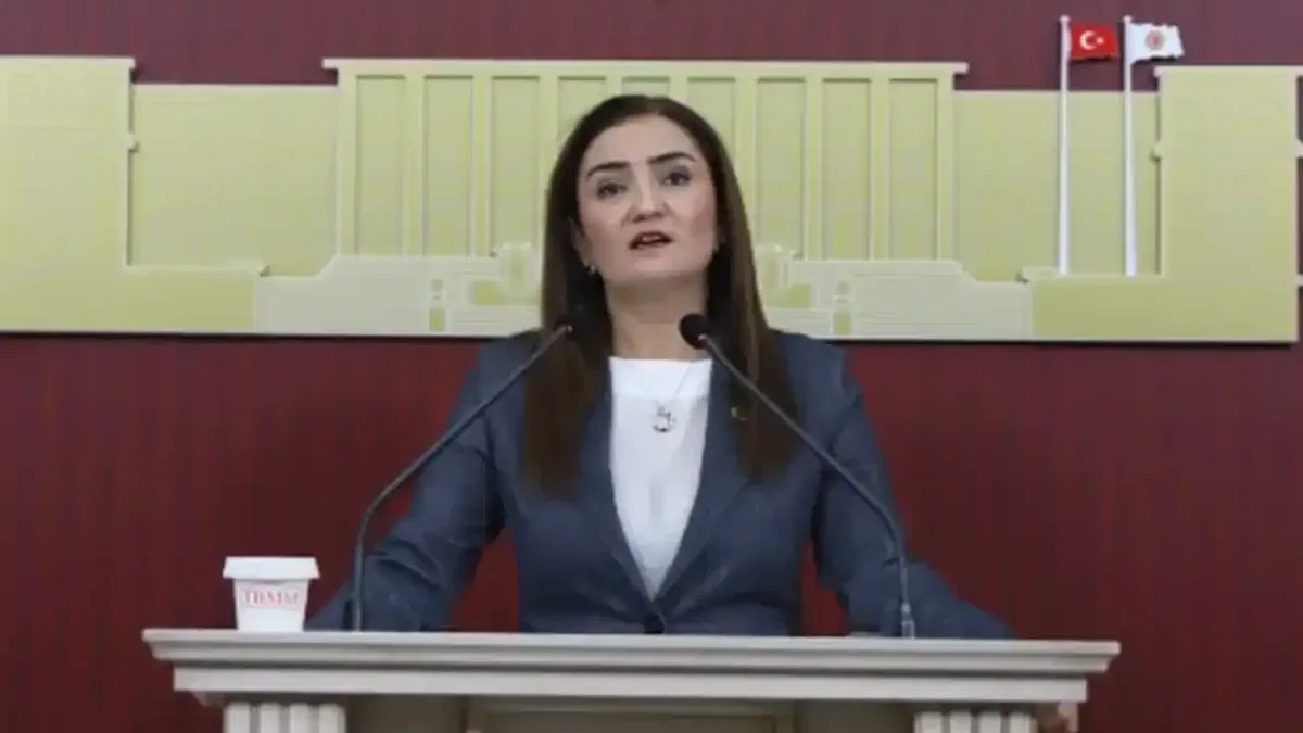 CHP Grup Başkanvekili Kılıç'tan 'silahsızlanma' vurgusu