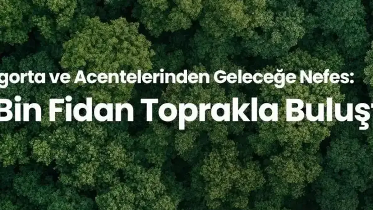 12 Bin Fidan Toprakla Buluştu