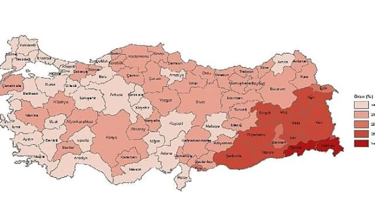 Tüik: Yükseköğretim mezunlarının oranı 25 yaş ve üzeri nüfusta %24,6 oldu