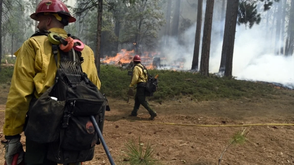 California'da süren orman yangınlarında 6 bin 300 hektar alan zarar gördü
