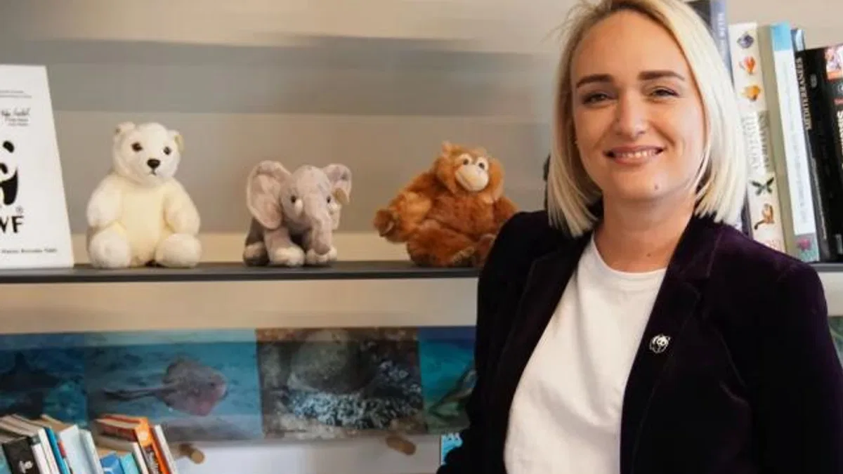 MEB ve WWF-Türkiye'den yeni protokol