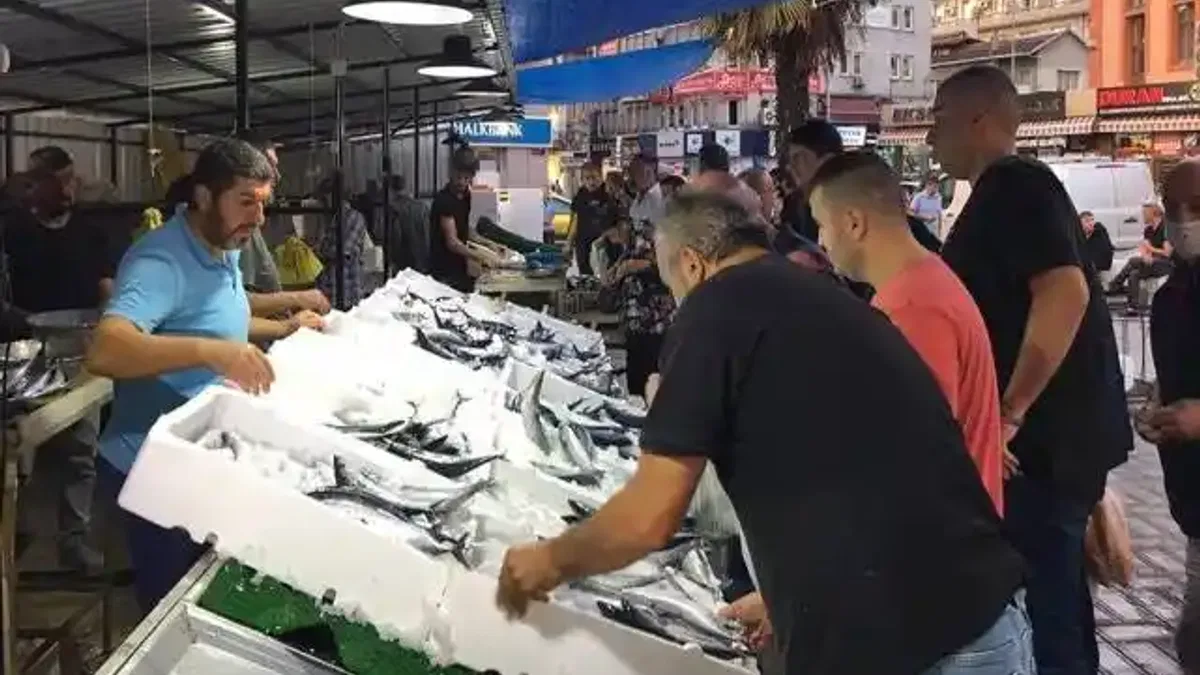 Zonguldak'ta palamut bolluğu tezgahlardaki fiyatlara yansıdı