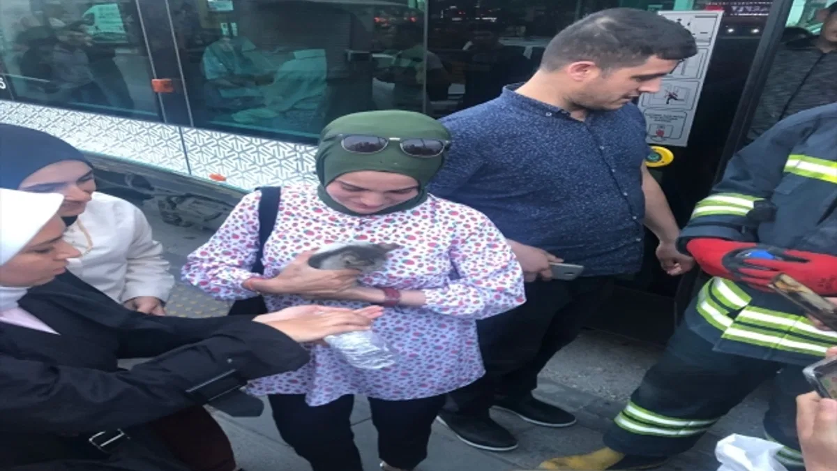 Konya'da tramvayın altına giren yavru kediyi kurtarmak için itfaiye ve vatandaş seferber oldu