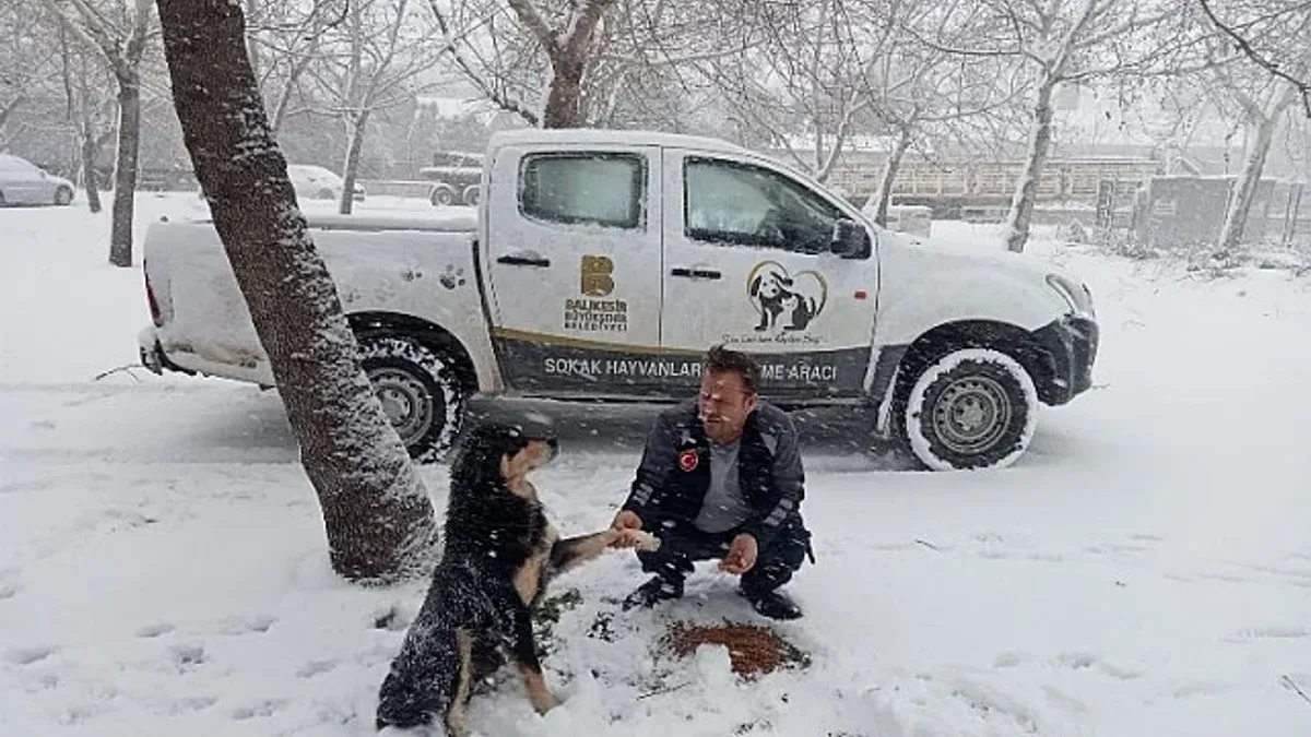 Sokak hayvanları unutulmadı