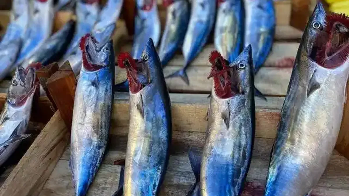 Zonguldak'ta yağış, balık fiyatlarını yükseltti