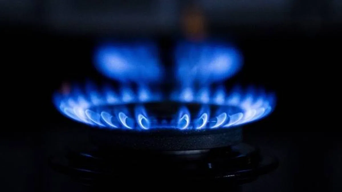 Doğal Gaz Tüketim Desteği kış dönemi başvuruları başladı