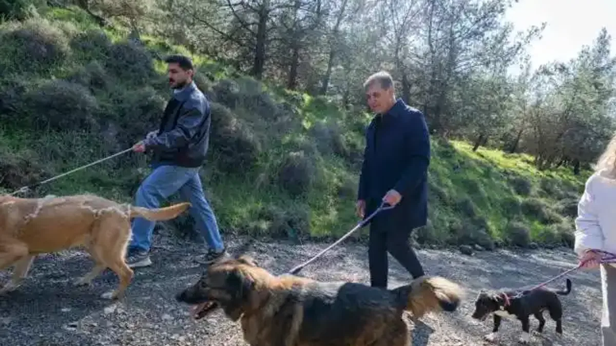 İzmir Büyükşehir'den sahipsiz hayvanlar için çağrı