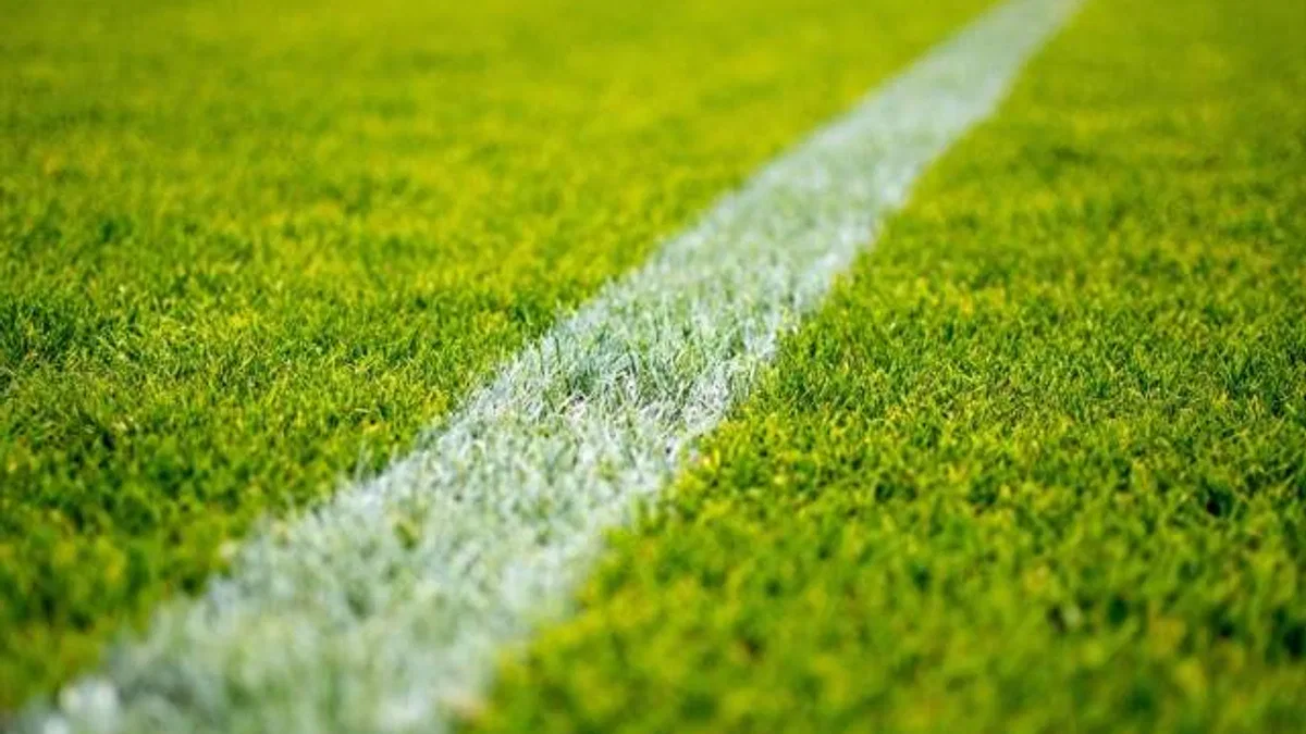 Fransa'da sahalara yönelik sulama yasağı futbol kulüplerini endişelendiriyor