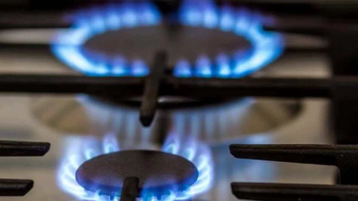 Bir doğal gaz desteği de Ankara'dan