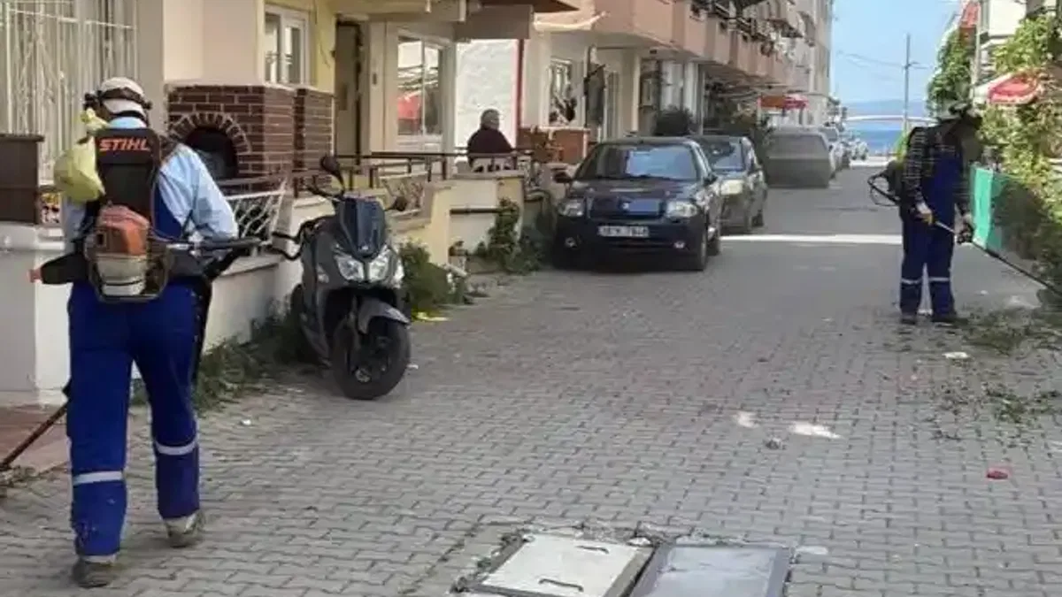 Bursa'da Gemlik Belediyesi'nden Kumla’ya yaz temizliği desteği