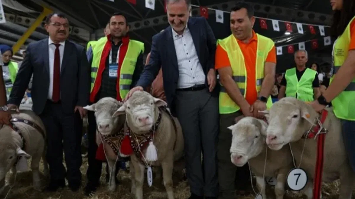 İnegöl'de Koç ve Süs Tavukları podyumda