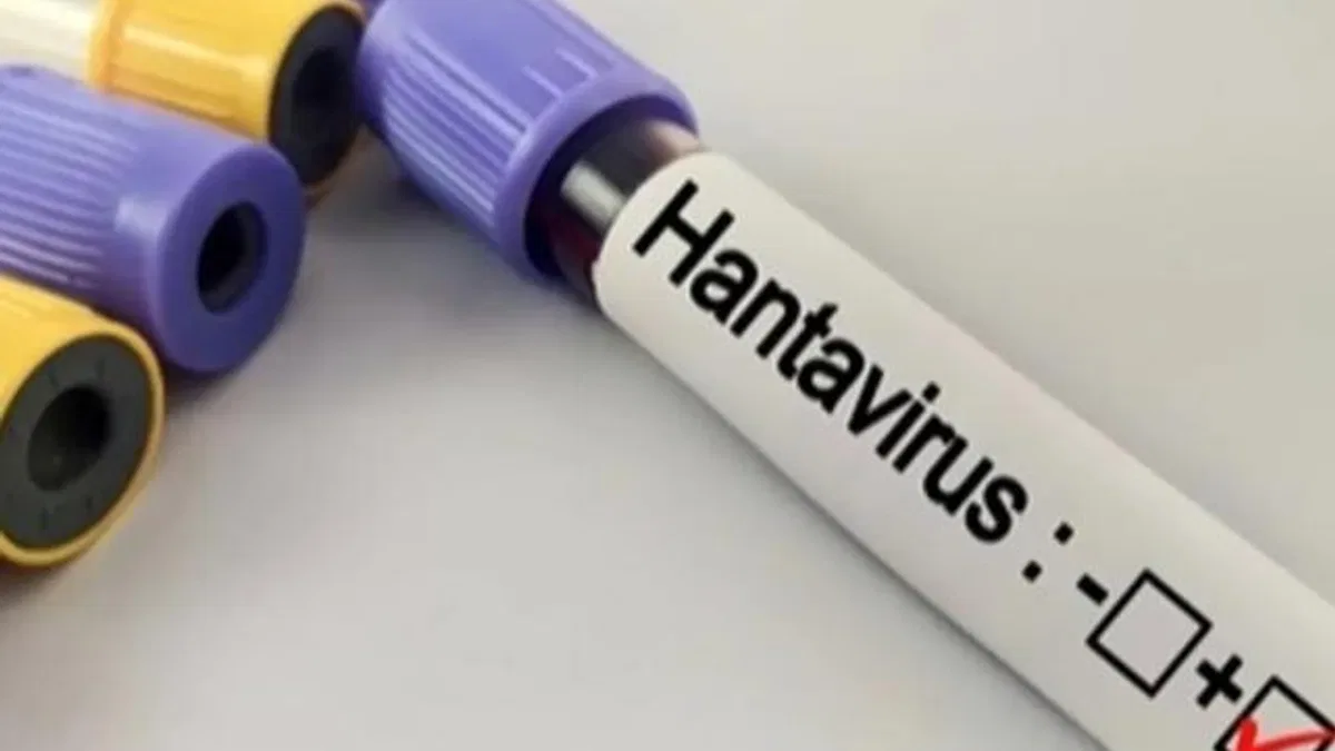 Hantavirüs salgına dönüşür mü?
